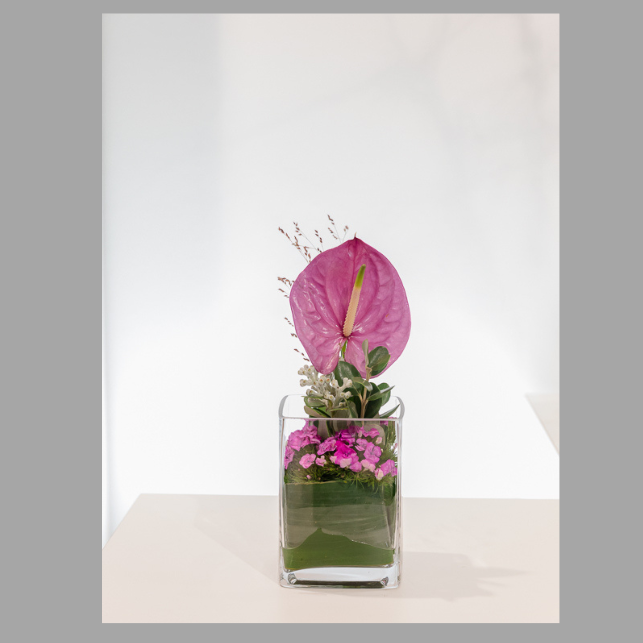 Blumenabo - Premium