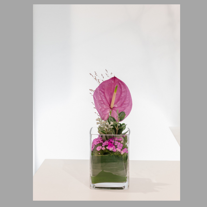 Blumenabo - Premium